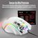 imageUrl_5