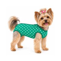 Faja Post Operatoria De Algodón Para Mascotas Perros Y Gatos Hembra Corazones Turquesa Talla 3