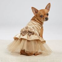 VESTIDO MASCOTA DORADO CON TUL Y LAZO ENCAJE - TALLA S