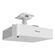 imageUrl_7