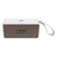 Parlante Bluetooth Portátil Teros Legacy LEG-6052BG 40W Radio FM Beige