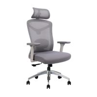 Silla Veyro Pro Con Cabecera Gris Base Alu - Ziyaz