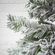 imageUrl_6