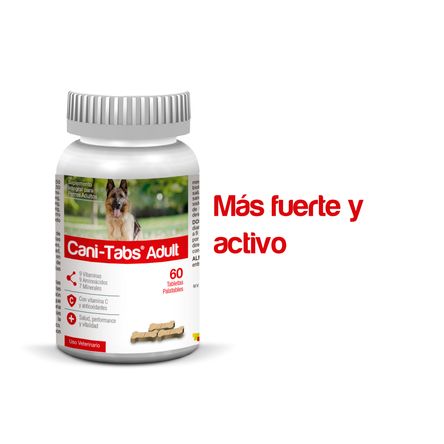 image-4237c72877c149469cfc2fc10b779770 image-4237c72877c149469cfc2fc10b779770