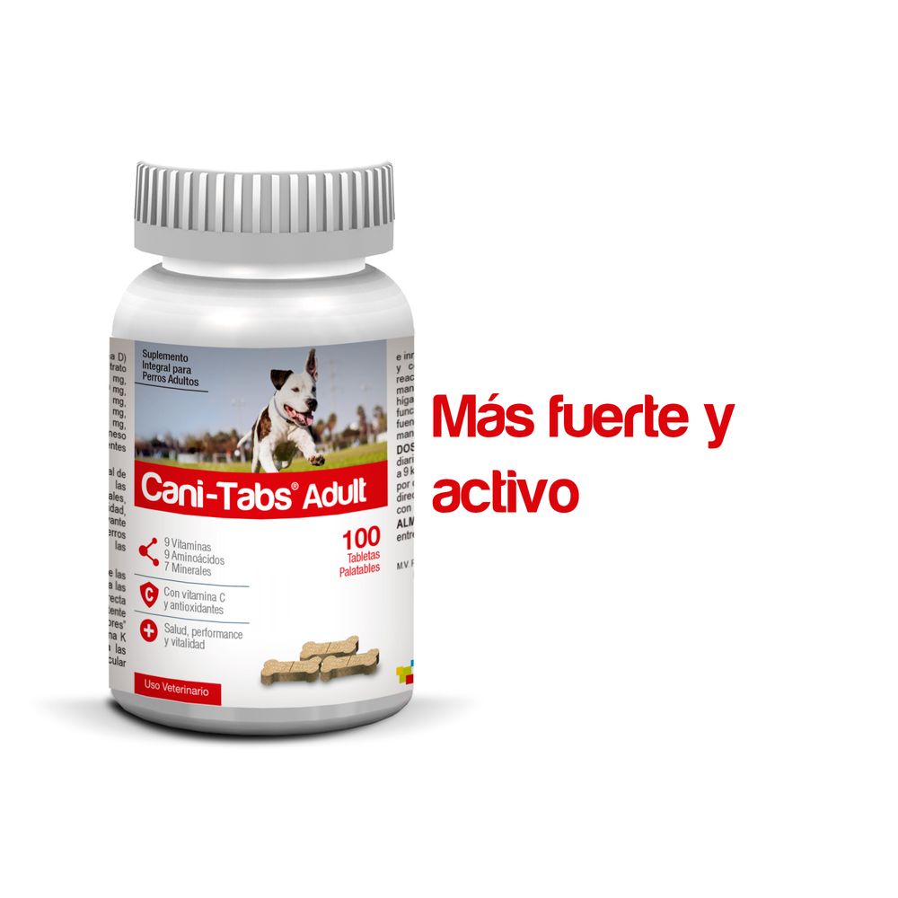 image-652b19545af746aebe6ea174118cc03e image-652b19545af746aebe6ea174118cc03e