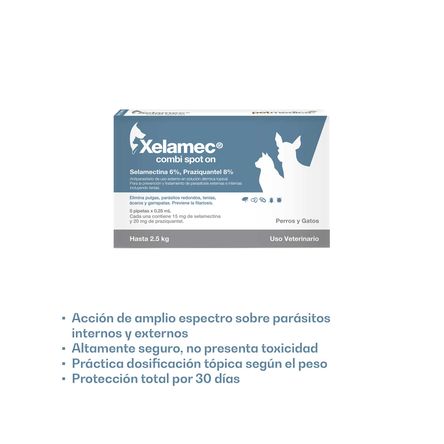 image-6500766419d148619b5f5701e4daafb6 image-6500766419d148619b5f5701e4daafb6