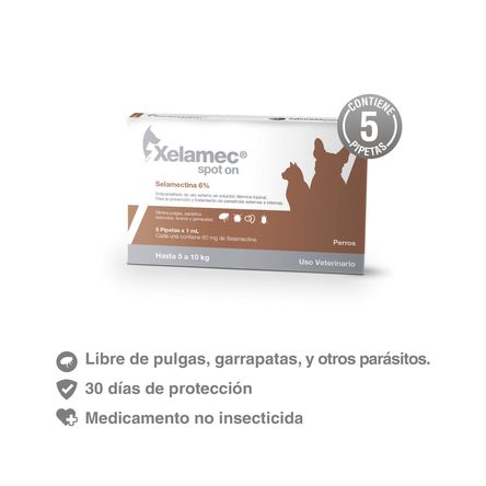 image-60075d0fe9484c9aac191ee227a884a4 image-60075d0fe9484c9aac191ee227a884a4