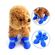 image-19ae676fadff4aa9a4beaf8d06bff528