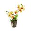 Maceta decorativa Orquídea Beige N°7