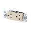 Toma doble universal para empotrar 15A 250V L/T Marfil