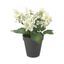 Maceta decorativa Clavel Blanco