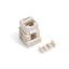 Jack CAT6 Blanco
