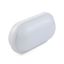Aplique tortuga ovalado LED blanco de 15W
