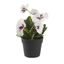 Maceta decorativa Pensamiento Blanco 20 cm