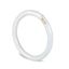 Fluorescente circular 32W/54-765 Luz Blanca