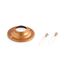 Soporte Canopla Metal Dorado 1"