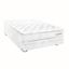 Box Tarima Paraiso Royal Elizabeth Organic Queen