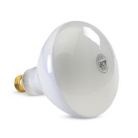 Foco 300W 12V roscado para piscina