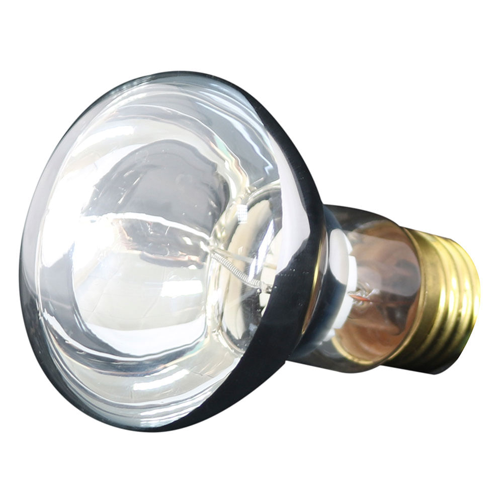 Foco roscado para spa 100W 12v