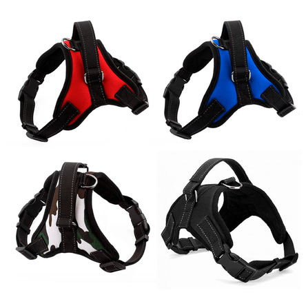 image-1e48eb0c78a04203b578a9e57216d35e image-1e48eb0c78a04203b578a9e57216d35e