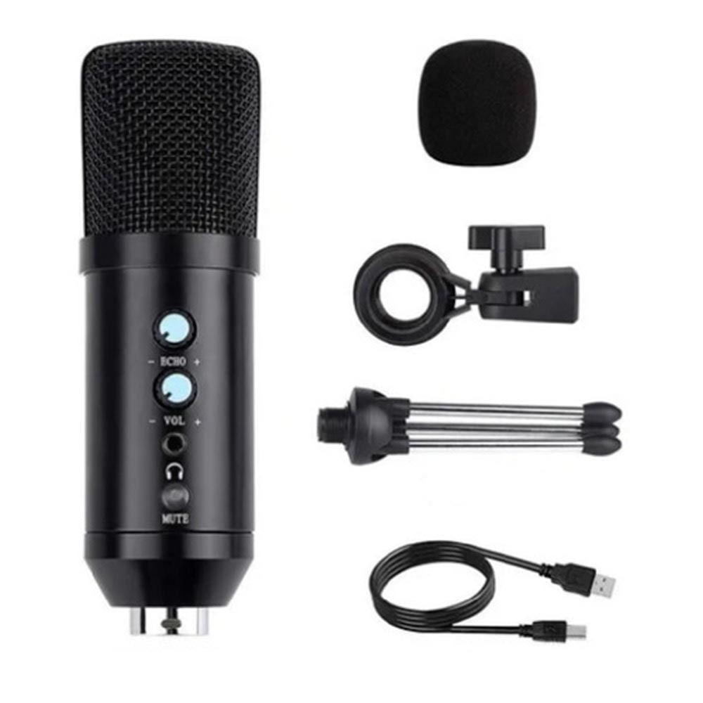 Microfono Condensador Brazo Soporte Bm800 Pc Estudio Antipop Black DREIZT