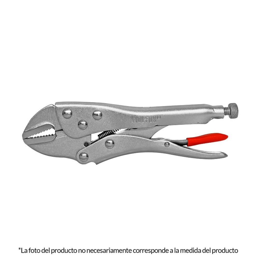 image-92415a8e663b4e95bca400c601927f3f image-92415a8e663b4e95bca400c601927f3f