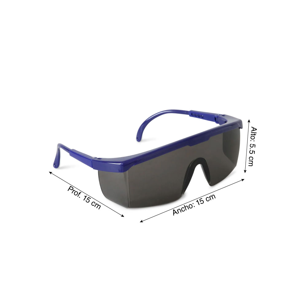 Comprar gafas de seguridad en varios diseños - EPIs | DENIOS
