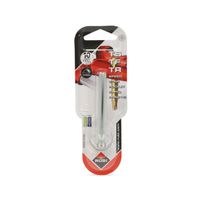 Rodel Widia de 10 mm Rubi