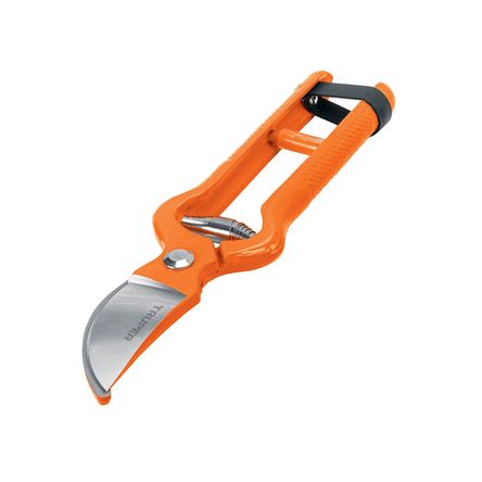 image-31759492c1d841b39a417bf78f10aea8 image-31759492c1d841b39a417bf78f10aea8