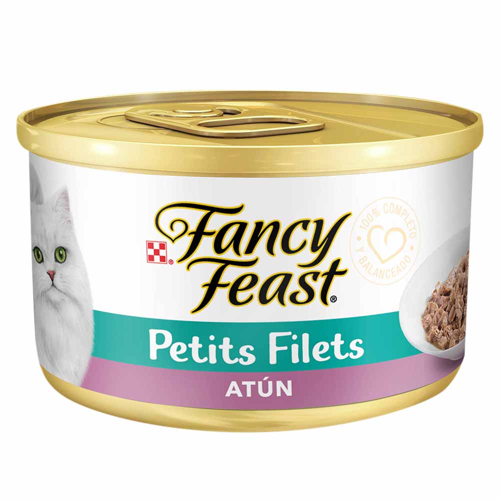 image-0c5c2026c48544058939566354b34c2f image-0c5c2026c48544058939566354b34c2f