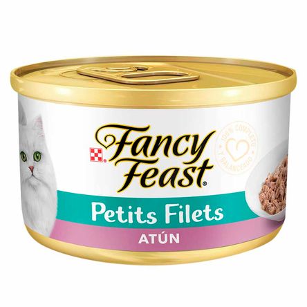 image-0c5c2026c48544058939566354b34c2f image-0c5c2026c48544058939566354b34c2f