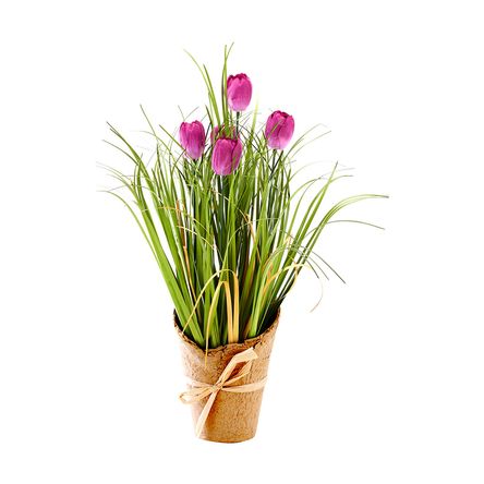 Grass con tulipan morado en maceta 36cm - Promart