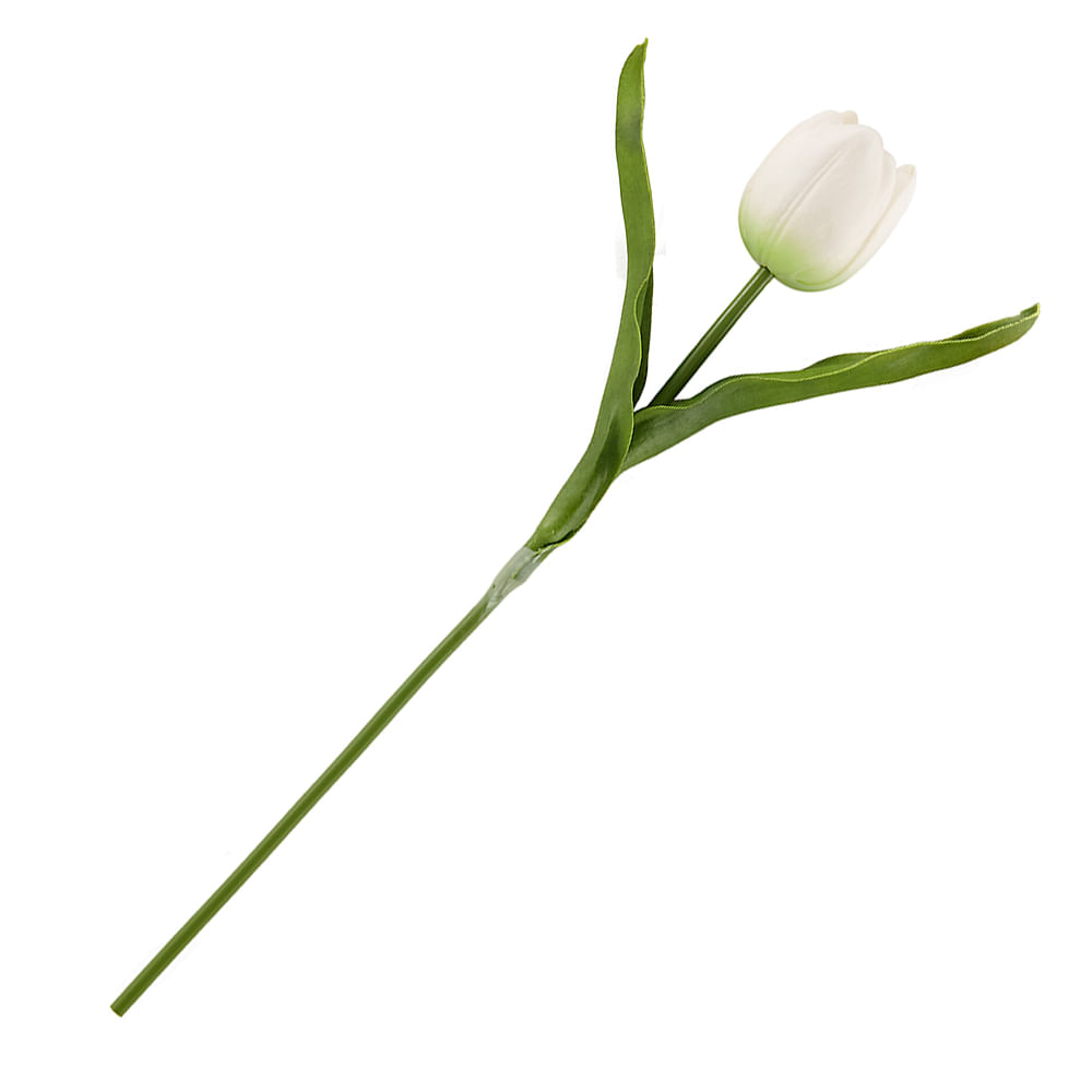 Tulipan blanco 39cm - Promart
