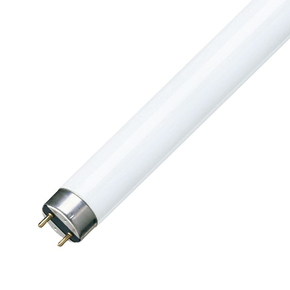58 W 3000 K Osram luz blanca cálida Tubo fluorescente trifósforo 2 unidades 1,5 m 830