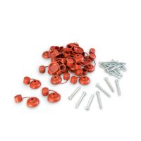 Kit Autorroscante C/pan 10 x 2""+ Capuchón teja 48 unidades
