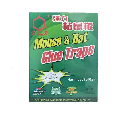 image-e338963242144736853dd7c8a6edd462 image-e338963242144736853dd7c8a6edd462