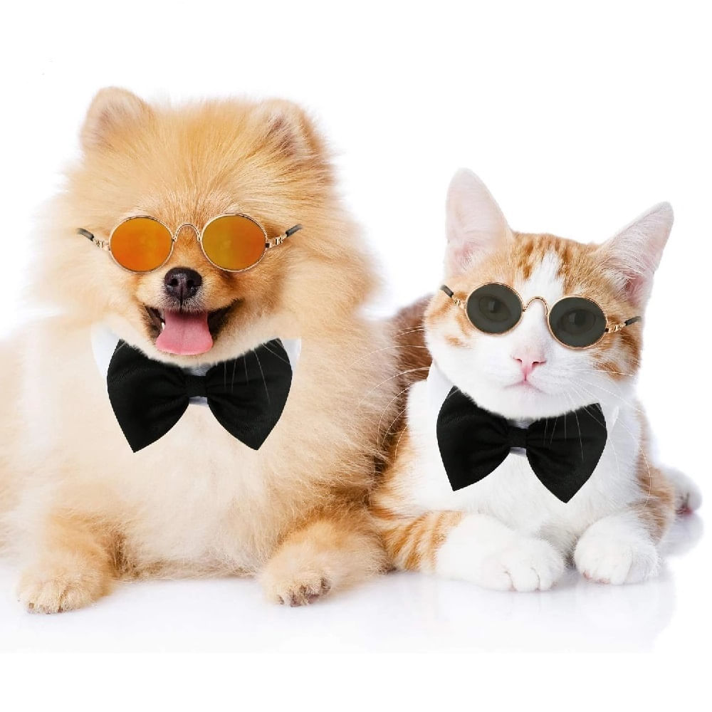 image-a5e8449481384c469037d0ac43c10f90 image-a5e8449481384c469037d0ac43c10f90