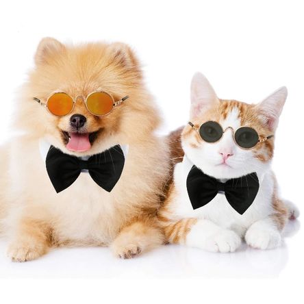 image-a5e8449481384c469037d0ac43c10f90 image-a5e8449481384c469037d0ac43c10f90