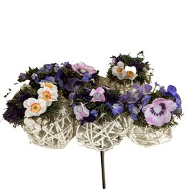 imageUrl_1