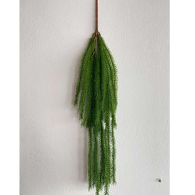 imageUrl_2
