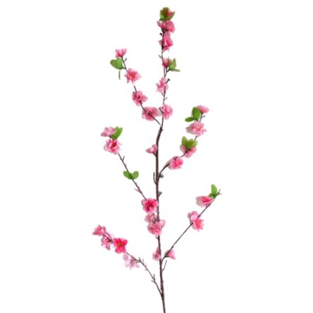 imageUrl_1 imageUrl_1