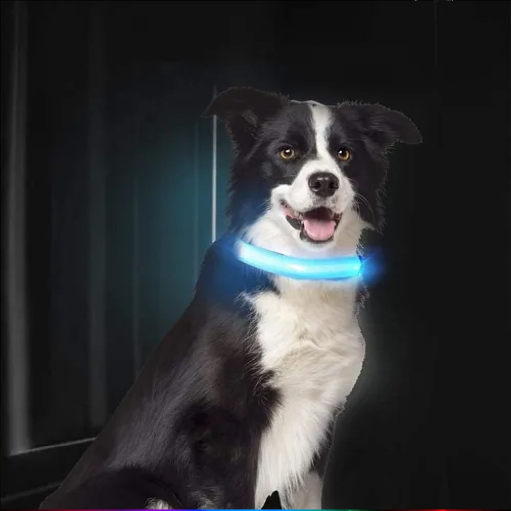 imageUrl_2 imageUrl_2