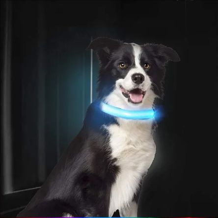 imageUrl_2 imageUrl_2