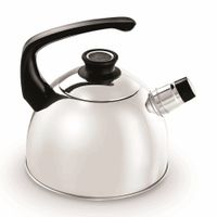 Tetera de Acero Inoxidable Record 1.8 litros Plata Brillante