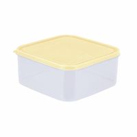 Caja Conservadora Plástica Basa Freezer N°5 de 5 l