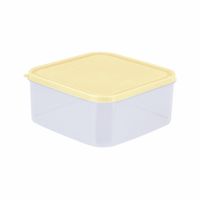 Caja conservadora Freezer N3 Beige Basa