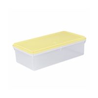 Caja Conservadora Plástica Basa Modelo N° 9 Beige de 25 l