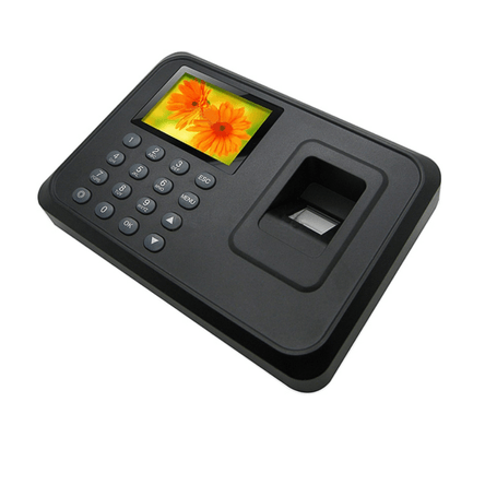 image-e1a6fc7cff5949c5b5488c6d1a8616a4 image-e1a6fc7cff5949c5b5488c6d1a8616a4