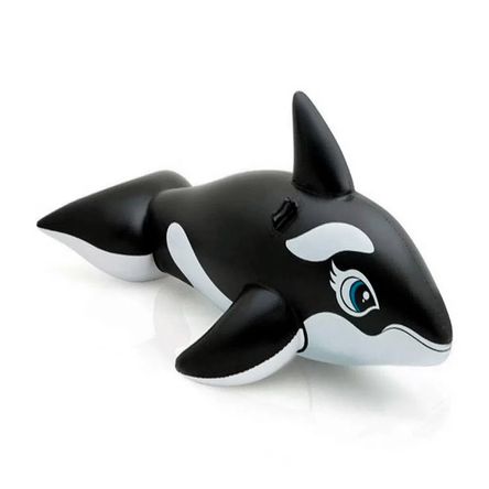 1000229451 1000229451