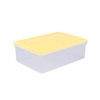 Caja Conservadora Plástica Basa Modelo N° 7 Beige de 8 l